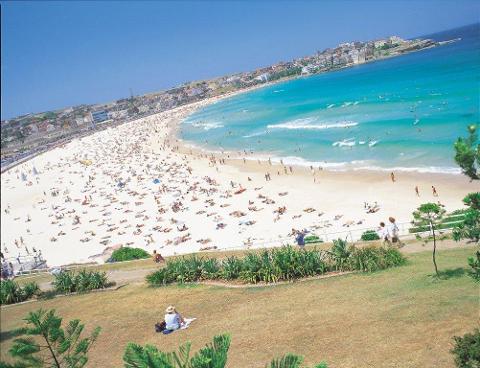Story of Sydney